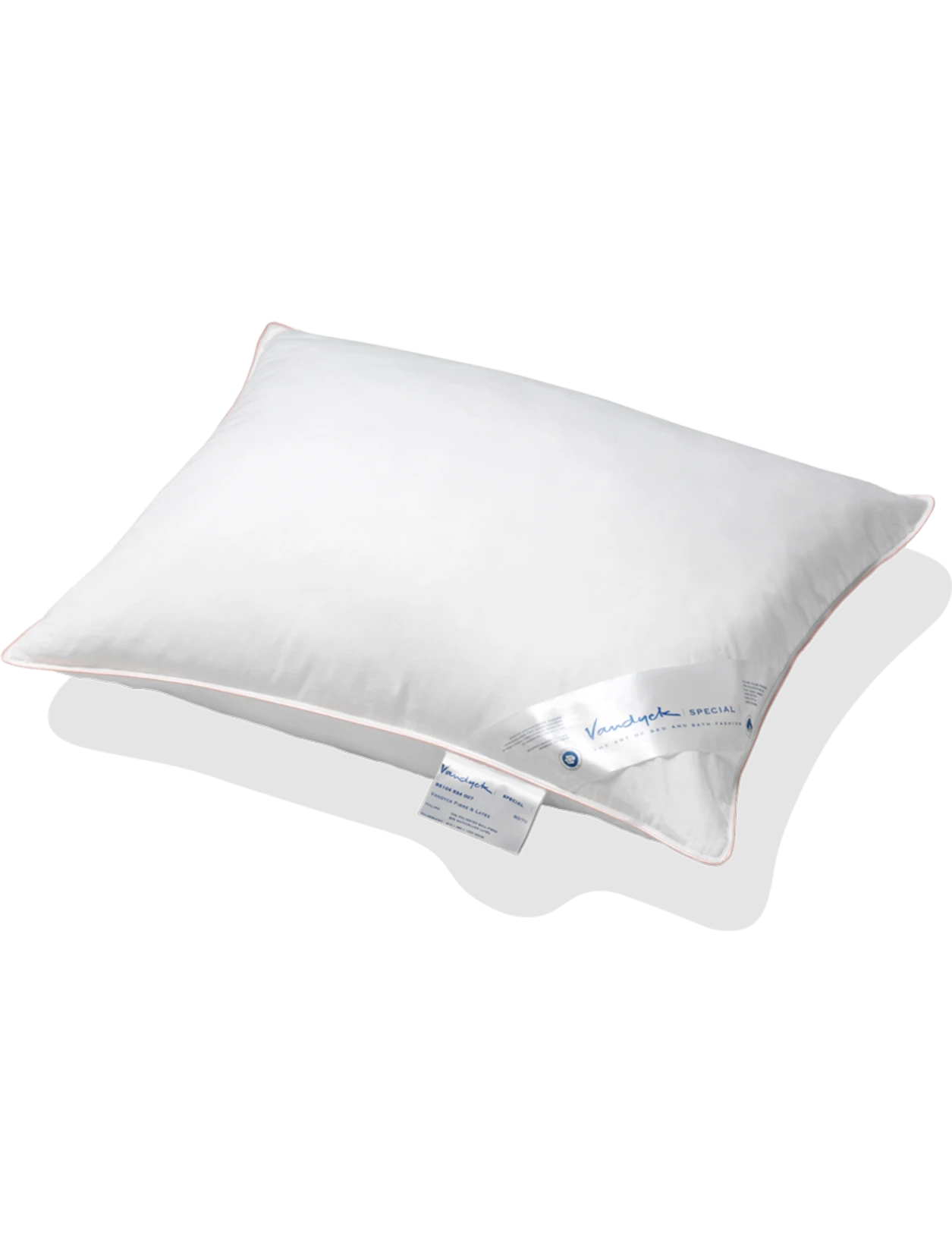 HOOFDKUSSEN Spec. | Cr.lat. Zalm 3 HOOFDKUSSEN Spec. | Cr.lat. Zalm