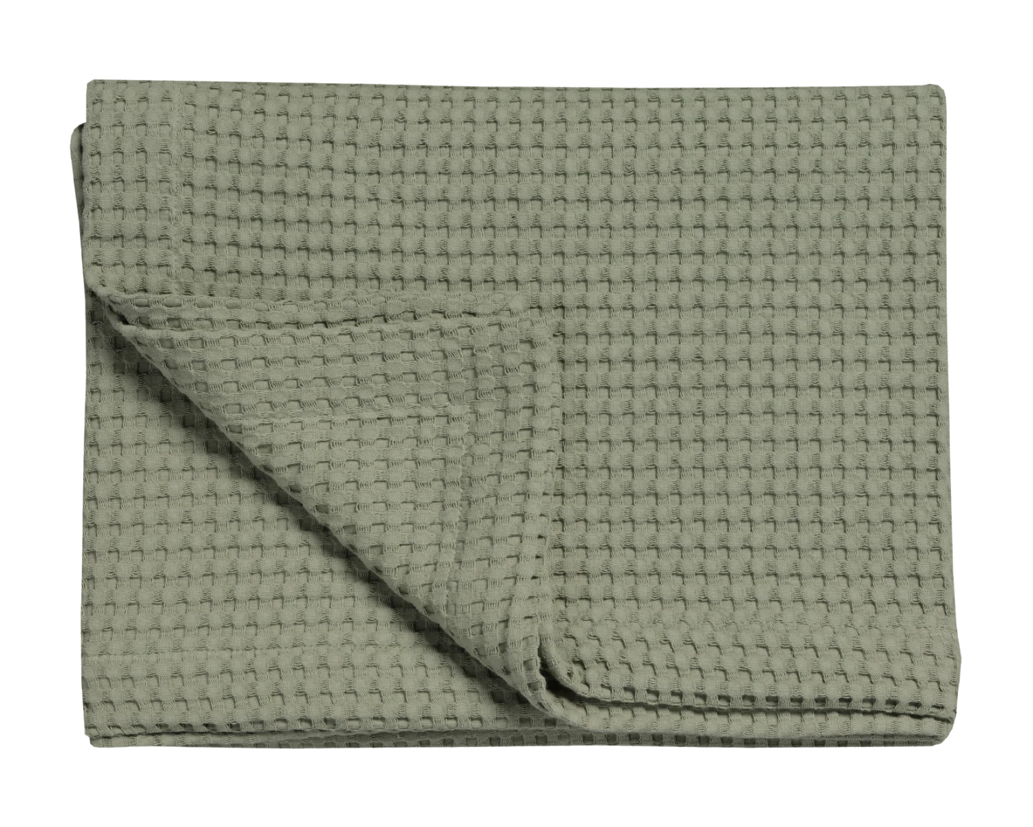 HOME PIQUE | Light Olive 3 HOME PIQUE | Light Olive