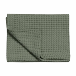 HOME PIQUE | Earth Green