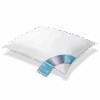 THERMO KUSSEN | PILLOW 60/70 1 THERMO KUSSEN | PILLOW 60/70 -Vandyck Winkel Kussen Thermo