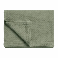 PURE 82 G.DYED | Thyme